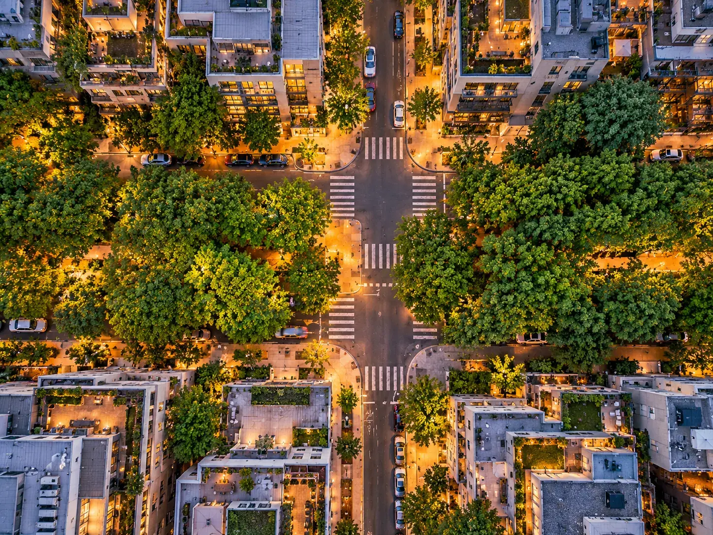 An aerial view of a tree-lined city street crossing at dusk, with warm lights along the sidewalks and rooftop terraces.